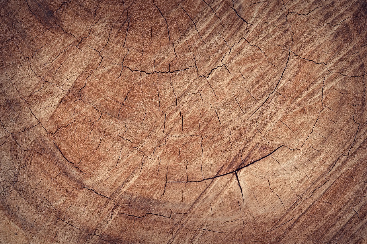 A Guide to Understanding Wood Grain Patterns
